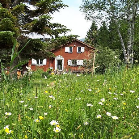 Chalet Chic Wildhaus Buitenkant foto