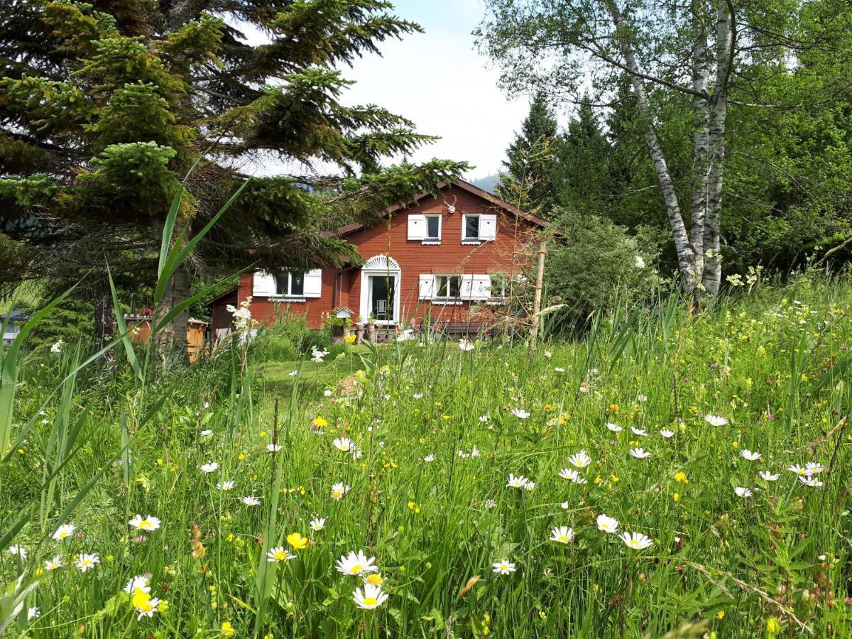 Chalet Chic Wildhaus Buitenkant foto